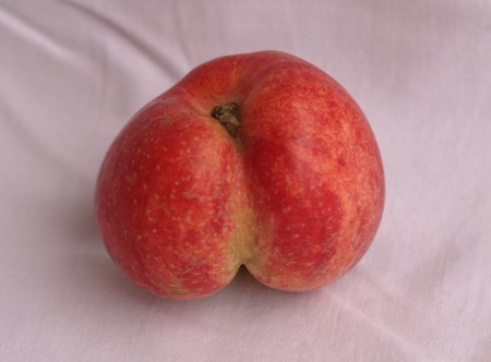 Röväpplet - Nästan som ett vanligt äpple, fast med en rejäl röv där bak